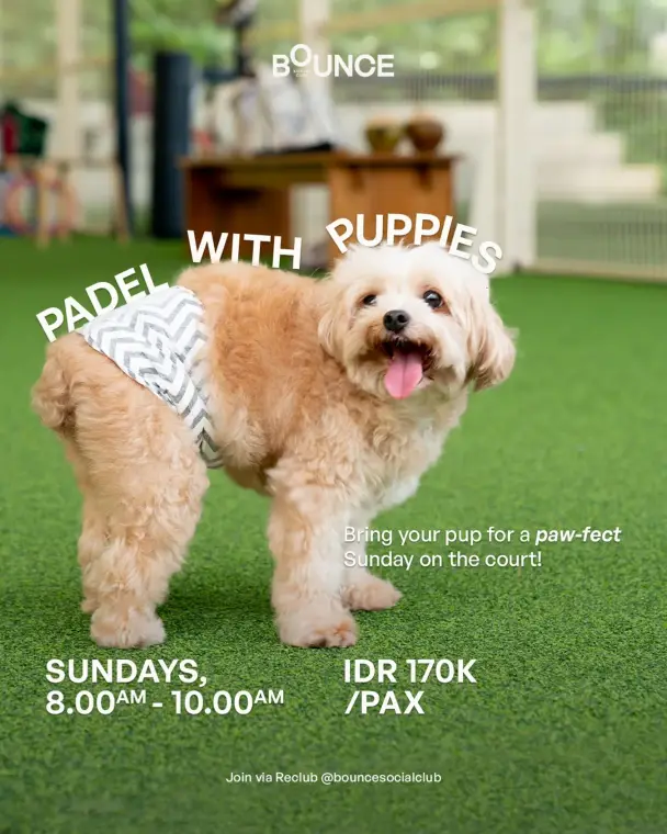 Padel with Puppies poster